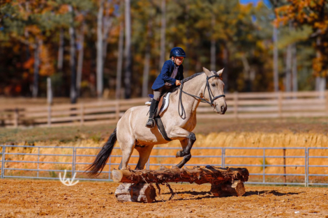 HorseID: 2253893 Gus - PhotoID: 1045917