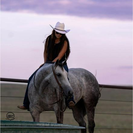 HorseID: 2253895 Cats LIL Majorette - PhotoID: 1045913