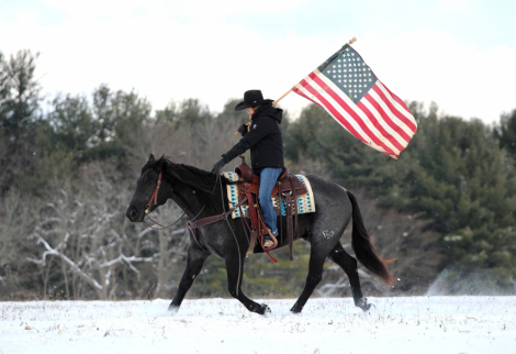 HorseID: 2260686 WHIPP HANCOCK BURKE - PhotoID: 1087044