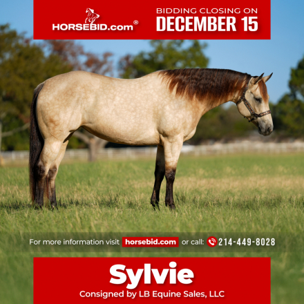 HorseID: 2260687 Hook Line and Sinker - PhotoID: 1036982