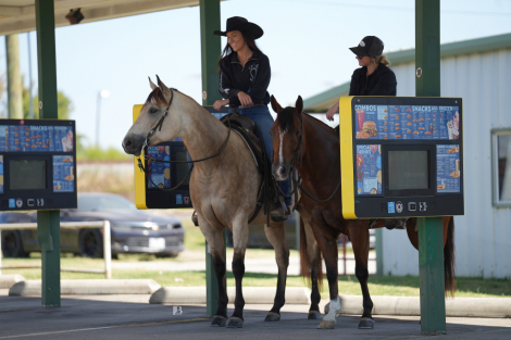 HorseID: 2260687 Hook Line and Sinker - PhotoID: 1045920