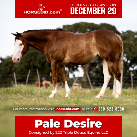 HorseID: 2260689 Pale Desire - PhotoID: 1028024