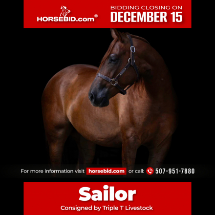 HorseID: 2261708 RG Sailingwithguns - PhotoID: 1029641