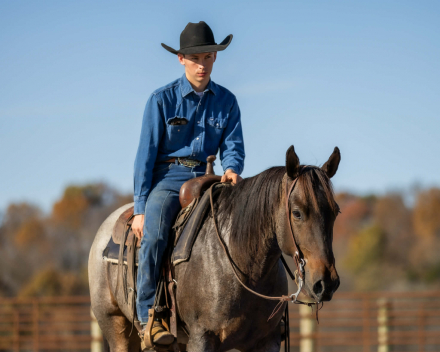 HorseID: 2262623 DJ VALENTINE BLU MAN - PhotoID: 1036988