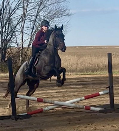 HorseID: 2262623 DJ VALENTINE BLU MAN - PhotoID: 1054923