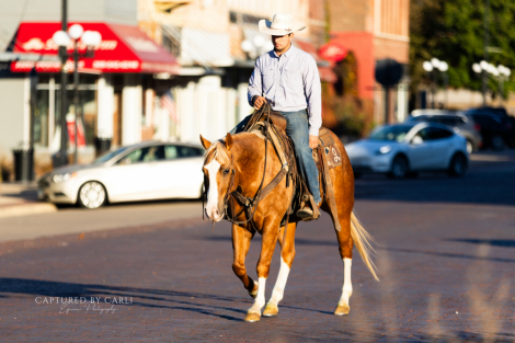 HorseID: 2265021 NUTHER CAT TASTOPHRE - PhotoID: 1034263