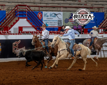 HorseID: 2275753 Whizkeymakesmelena - PhotoID: 1048797