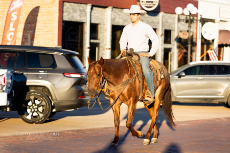 HorseID: 2275761 DIAMOND J BIG FIX - PhotoID: 1070287