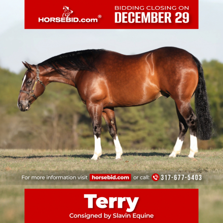 HorseID: 2280897 GT OH - PhotoID: 1055708