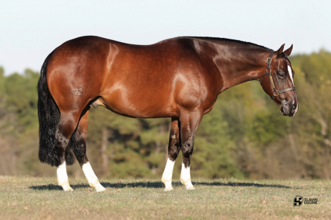 HorseID: 2280897 GT OH - PhotoID: 1089900