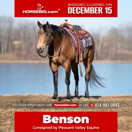 HorseID: 2280905 Paddy's Gin Sahara jw - PhotoID: 1055692