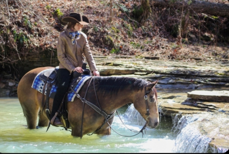 HorseID: 2280905 Paddy's Gin Sahara jw - PhotoID: 1055694