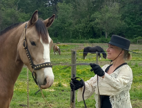 HorseID: 2283641 2021 Buckskin  Lusitano X Drum Mare - PhotoID: 1091303