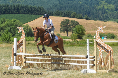 HorseID: 2285603 AURYN - PhotoID: 1090656