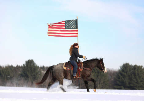 HorseID: 2287438 Theo - PhotoID: 1064617