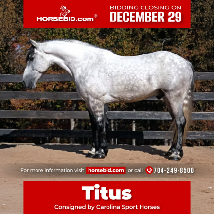 HorseID: 2287439 Titus - PhotoID: 1064618