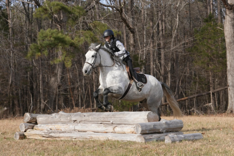 HorseID: 2287439 Titus - PhotoID: 1064621