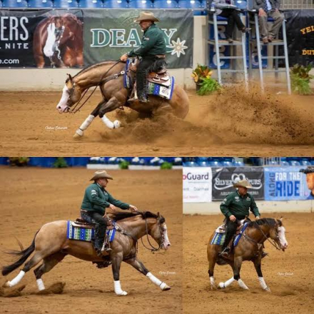 HorseID: 2289560 Mischievous Spark - PhotoID: 1085282