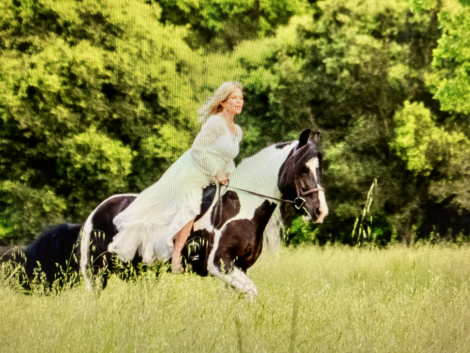 HorseID: 2296150 Kels & Kel Arya - PhotoID: 1077034