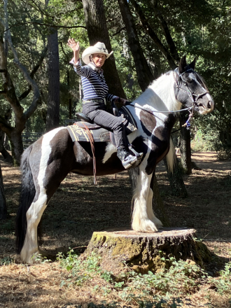 HorseID: 2296150 Kels & Kel Arya - PhotoID: 1077036