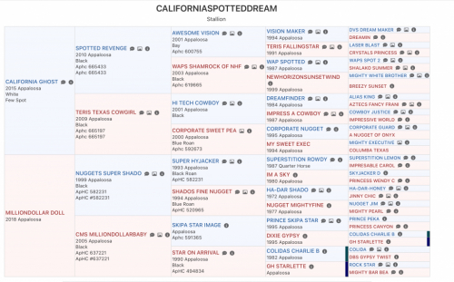 HorseID: 2297962 CaliforniaSpottedDream - PhotoID: 1090027