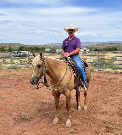 HorseID: 2298547 MRD Kings Busy Star - PhotoID: 1079357