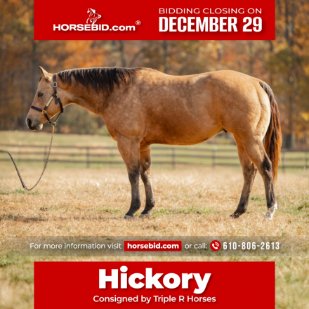 HorseID: 2301482 Dallas - PhotoID: 1083532