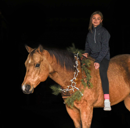 HorseID: 2301482 Dallas - PhotoID: 1083535