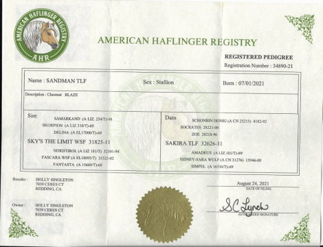 HorseID: 2302493 SANDMAN TLF - PhotoID: 1091167