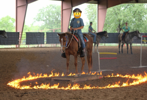 HorseID: 2302806 Blaze - PhotoID: 1085162