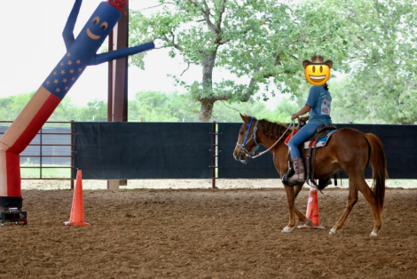 HorseID: 2302806 Blaze - PhotoID: 1085163