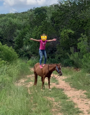 HorseID: 2302806 Blaze - PhotoID: 1085164