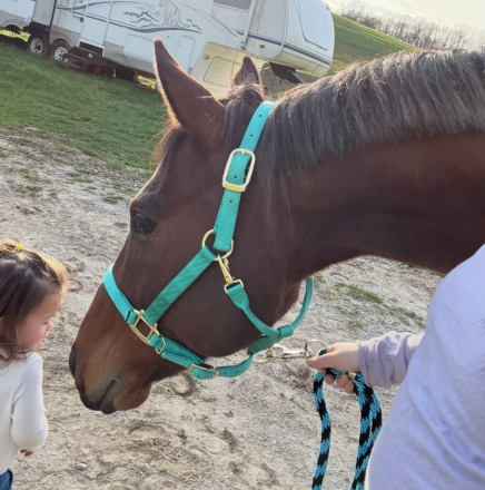 HorseID: 2302980 Imagine The Glory - PhotoID: 1089141