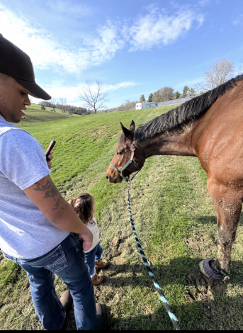 HorseID: 2302980 Imagine The Glory - PhotoID: 1090649