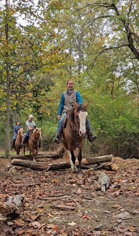 HorseID: 2303467 Shani - PhotoID: 1090203