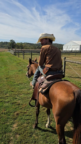 HorseID: 2303467 Shani - PhotoID: 1090204