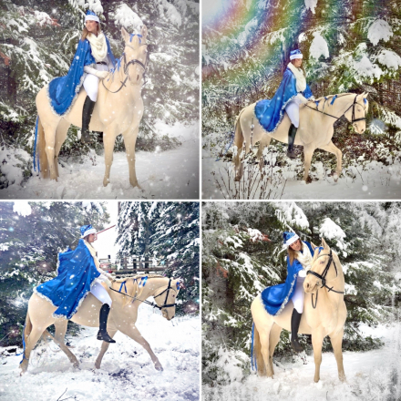 HorseID: 2304987 Pearls Goldun Lady - PhotoID: 1088120