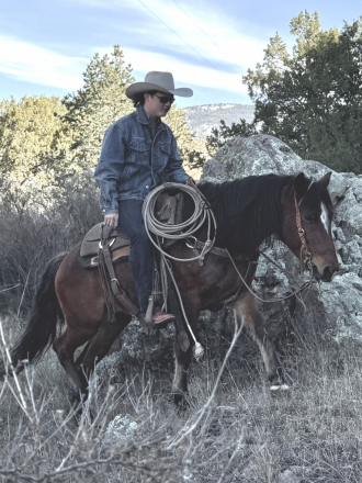 HorseID: 2305103 Peso - PhotoID: 1088368