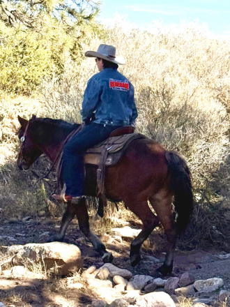 HorseID: 2305103 Peso - PhotoID: 1088370