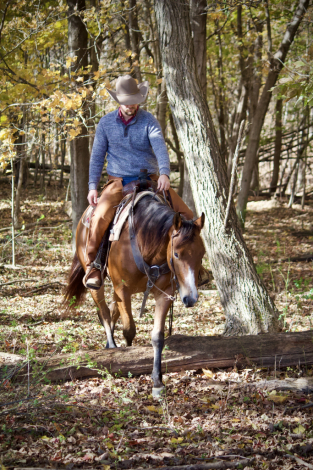 HorseID: 2305480 PC BOONS TOWN - PhotoID: 1090211