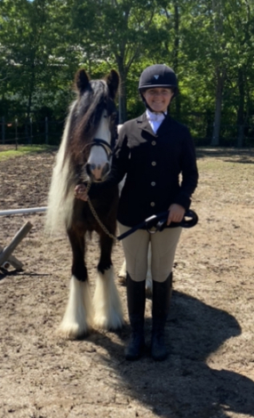 HorseID: 2305694 Sheldon - PhotoID: 1089179