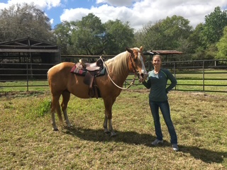 HorseID: 2305831 IN HONOR OF VERSA STAR - PhotoID: 1089377