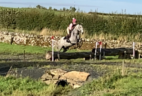 HorseID: 2305964 Ballyerk - PhotoID: 1090022