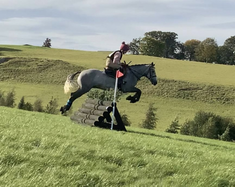 HorseID: 2305964 Ballyerk - PhotoID: 1090023