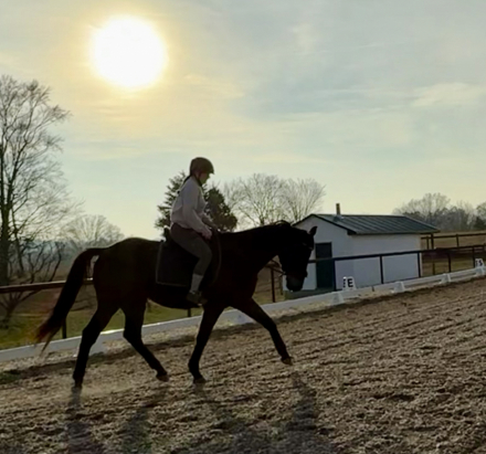 HorseID: 2306267 Wayne’s Legend - PhotoID: 1090695