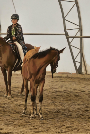 HorseID: 2306309 DC Coral Quickstar - PhotoID: 1090420