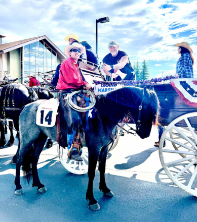 HorseID: 2306314 Crimson’s Secret Blue - PhotoID: 1090012