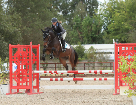 HorseID: 2306317 Cimbaly - PhotoID: 1090016