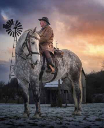 HorseID: 2306339 Dapplewood Hamilton - PhotoID: 1090031