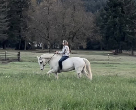 HorseID: 2306353 Doc - PhotoID: 1090048